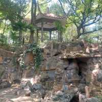 Little parks in Shanghai, little water worlds in the heart of the city