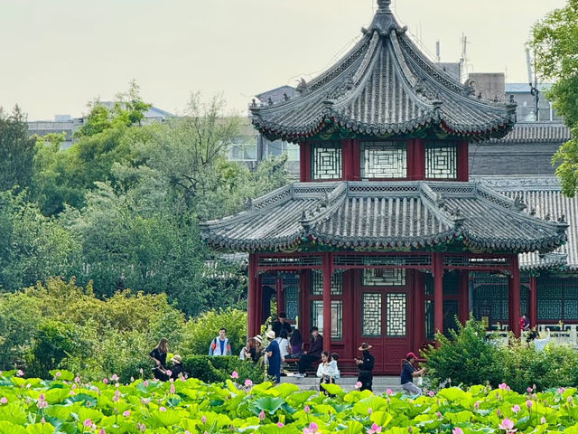 Baoding: A City of History Beneath Quiet Walls