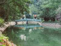 Mua Cave Viewpoint: The Best Panoramic View in Tam Coc, Vietnam