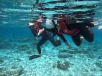 Scuba Diving in the Maldives: Why It’s the Perfect Destination and How to Plan Your Trip