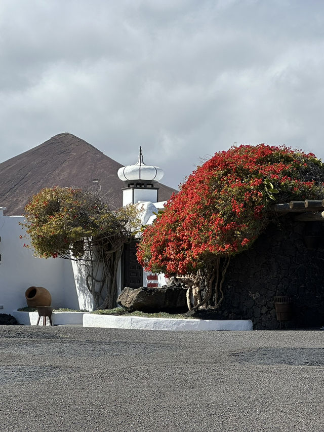 A Dream Weekend in Lanzarote: Renting the Island’s Prettiest House and Smart Travel Hacks