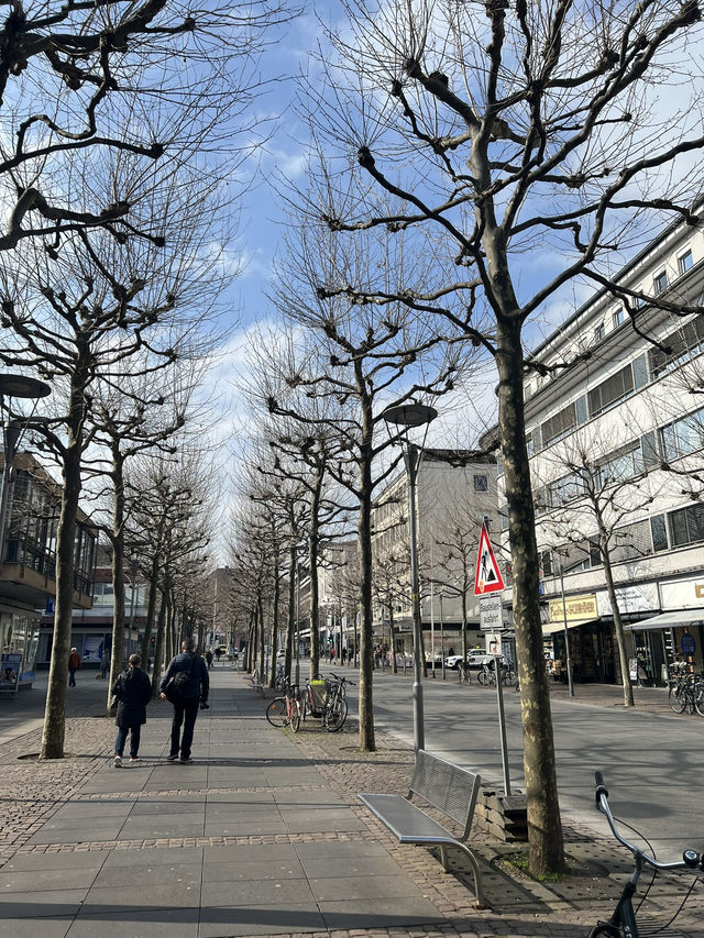 Where History Blooms – A Stroll Through Schillerplatz, Mainz 🕊️🌳