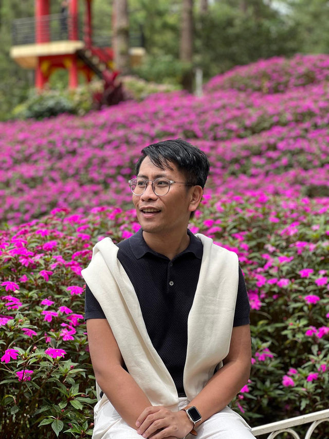 🌿🌸 Baguio’s Hidden Jungle: A Walk Through Botanical Wonder 