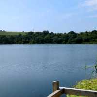 The best way to soak up the rare Irish sun 😎🇮🇪