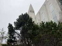 Touching the Sky: Hallgrímskirkja in Reykjavík