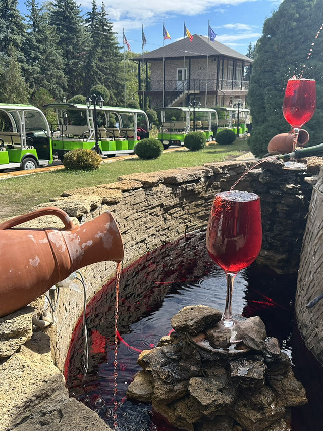 🚗 Driving Through a City of Wine: The Marvel of Mileștii Mici