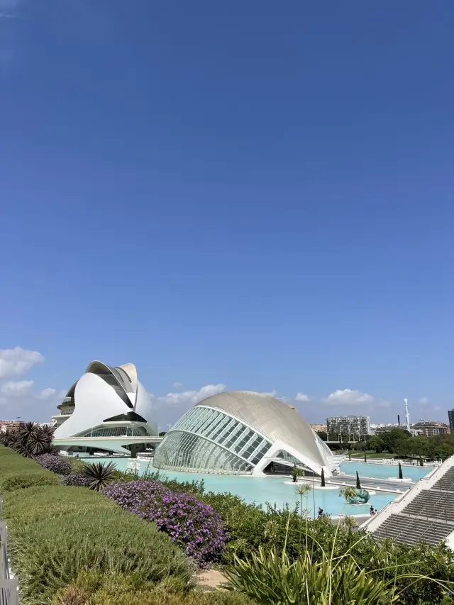 Ciudad de las Artes: Futuristic Beauty in Valencia ✨🏛️🌊