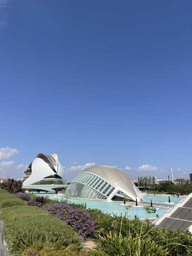 Ciudad de las Artes: Futuristic Beauty in Valencia ✨🏛️🌊