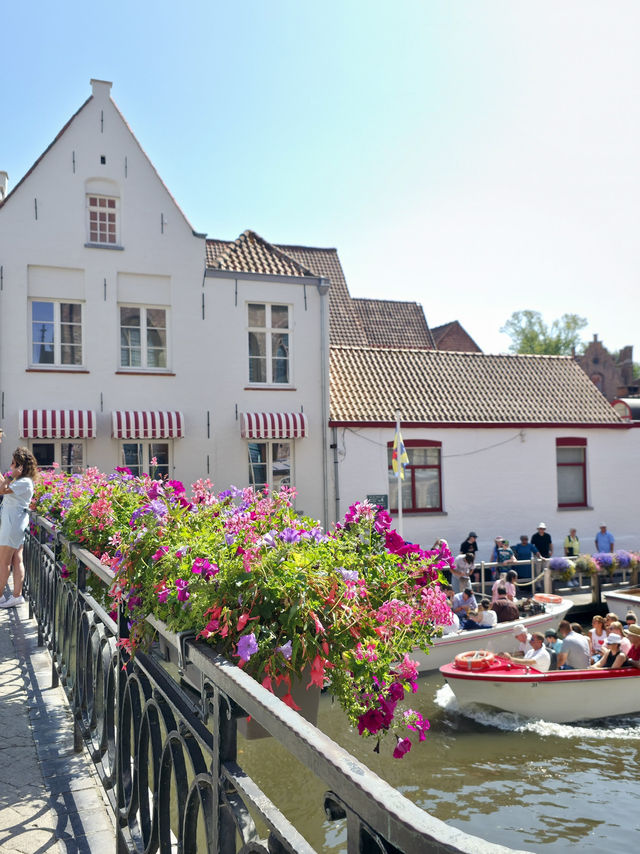 Bruges Autumn Magic🍂