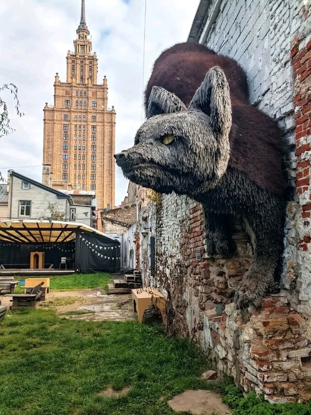 Baltic Gems in Riga✨ Baltic Gems in Riga✨