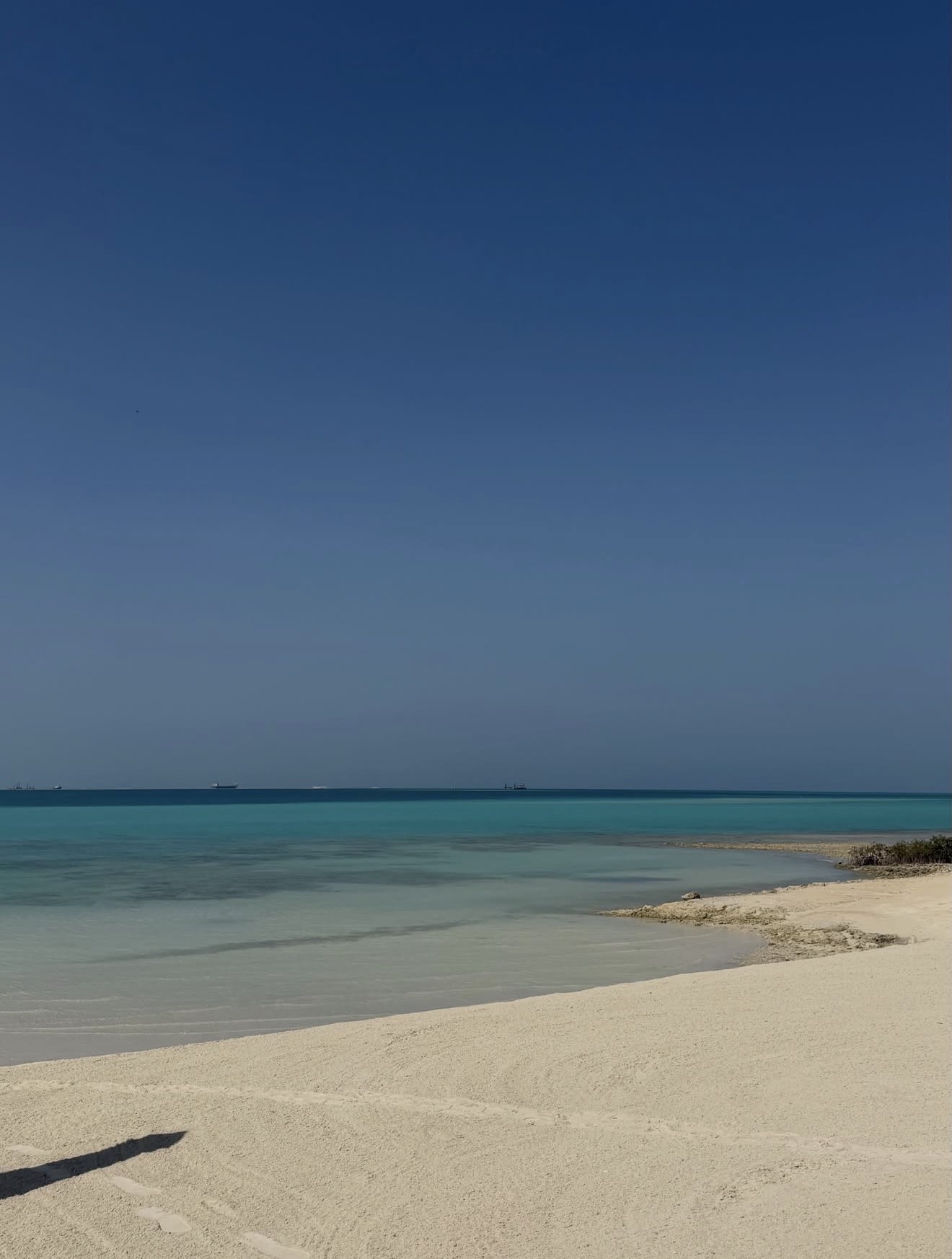 🌊 The Red Sea — Where the Desert Meets the Deep Blue 🇪🇬✨