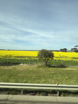 A Wonderful Great Ocean Road Adventure: Thanks to Trip.com and Allen!