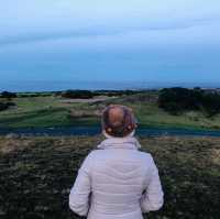 Carrick Hill in Scotland🏴󠁧󠁢󠁳󠁣󠁴󠁿