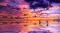 phaedria_4760