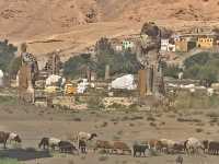 【Travel around the 🌍 world】Egypt🇪🇬. The Colossi of Memnon.