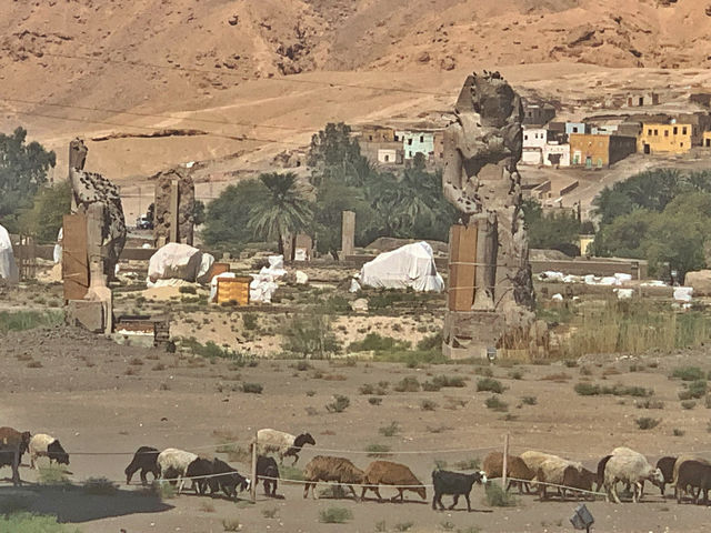 【Travel around the 🌍 world】Egypt🇪🇬. The Colossi of Memnon.