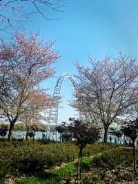 Gucun Park, a must visit for nature lovers