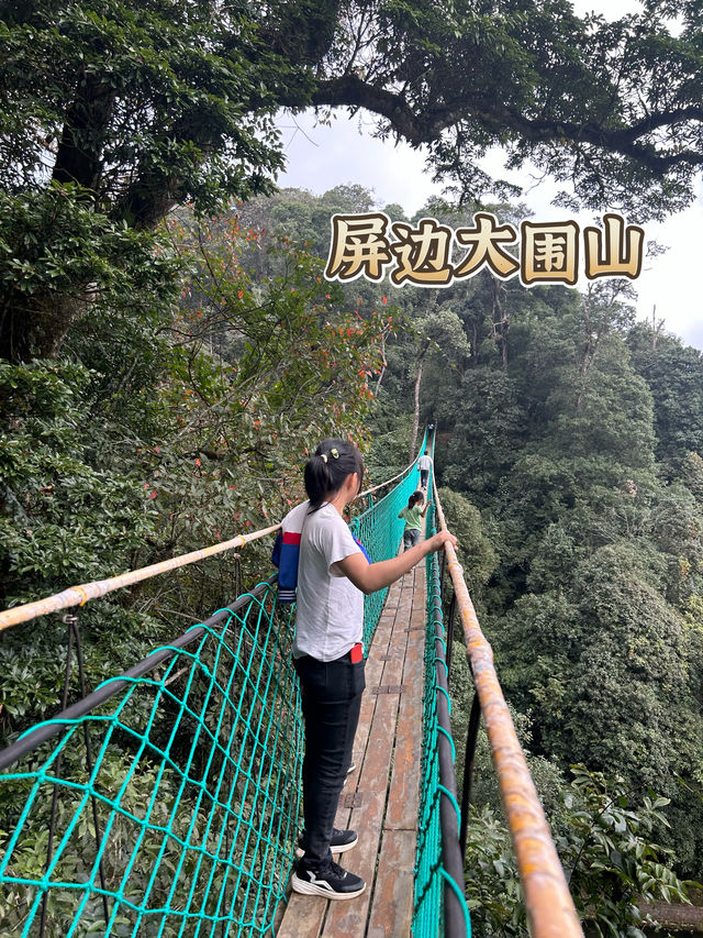 旅途中的快樂來自～屏邊瀑布、大圍山