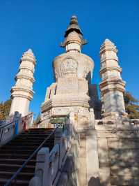北京最難預約的景點之一西黃寺