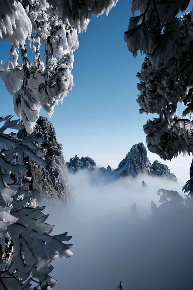 冬日霧凇 | 黃山仙境之行