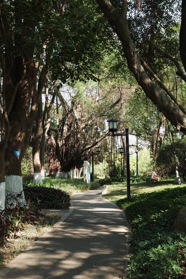 廈門中山公園|城市後花園