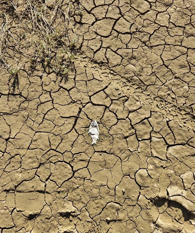 桂林永福屯都水庫