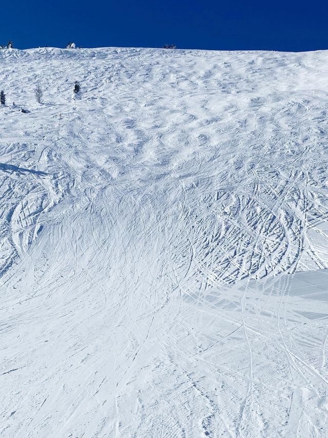 班夫滑雪勝地——班夫陽光滑雪場