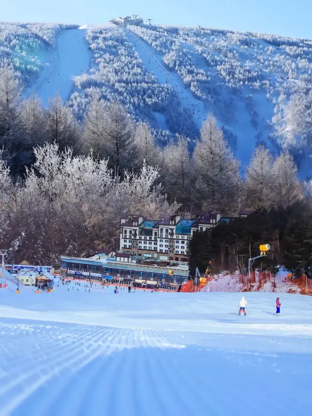 The beauty of Wanlong in winter is like a startled swan and a wandering dragon | Known as the 'Powder Snow Paradise of China'