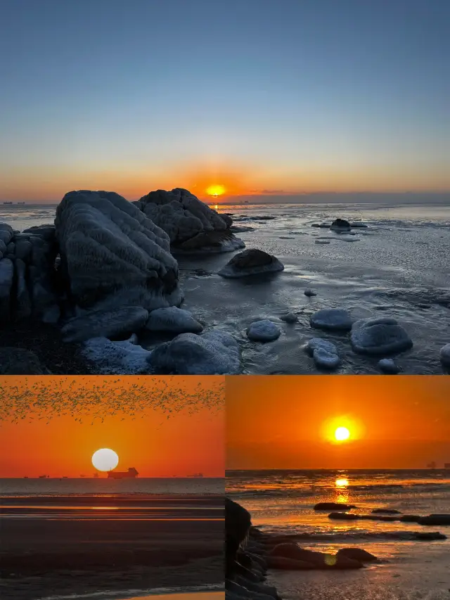 The winter in Qinhuangdao is too beautiful! Let's go!!!