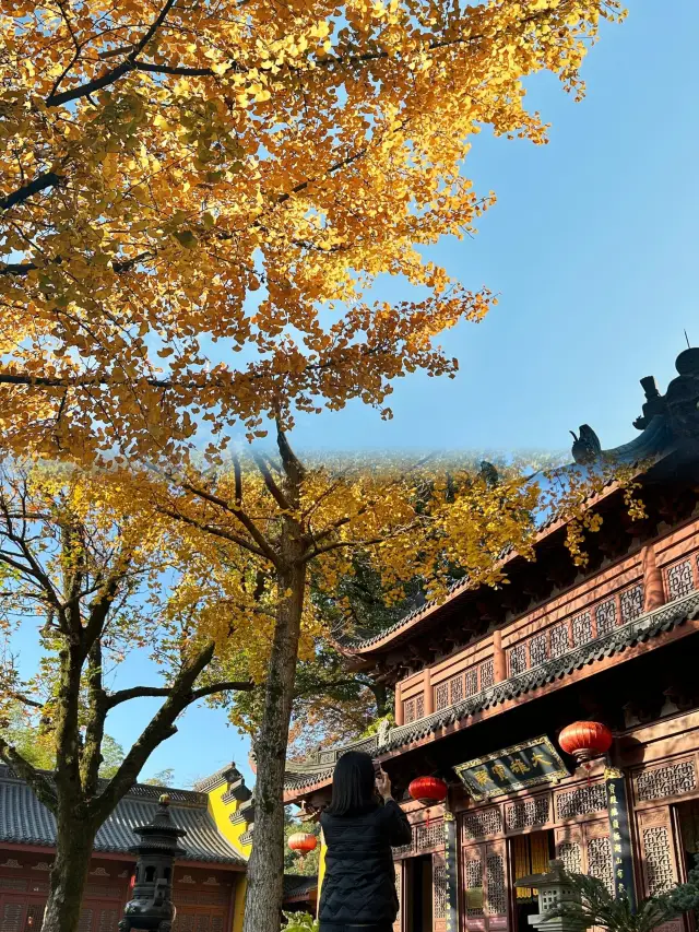 The first blessed place in Qiantang--Yongfu Zen Temple|||