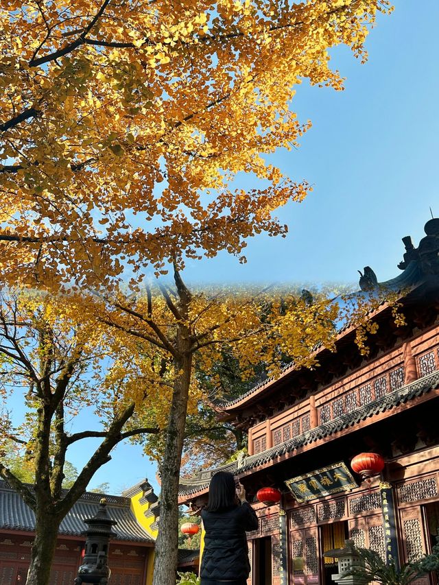 錢塘第一福地--永福禪寺|||