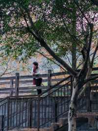 重慶主城區的後花園| 冬天也能出片的寶藏公園