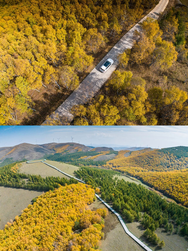 百里天路|京津冀周邊遊賞秋必駕路線百里天路位於河北豐寧壩上