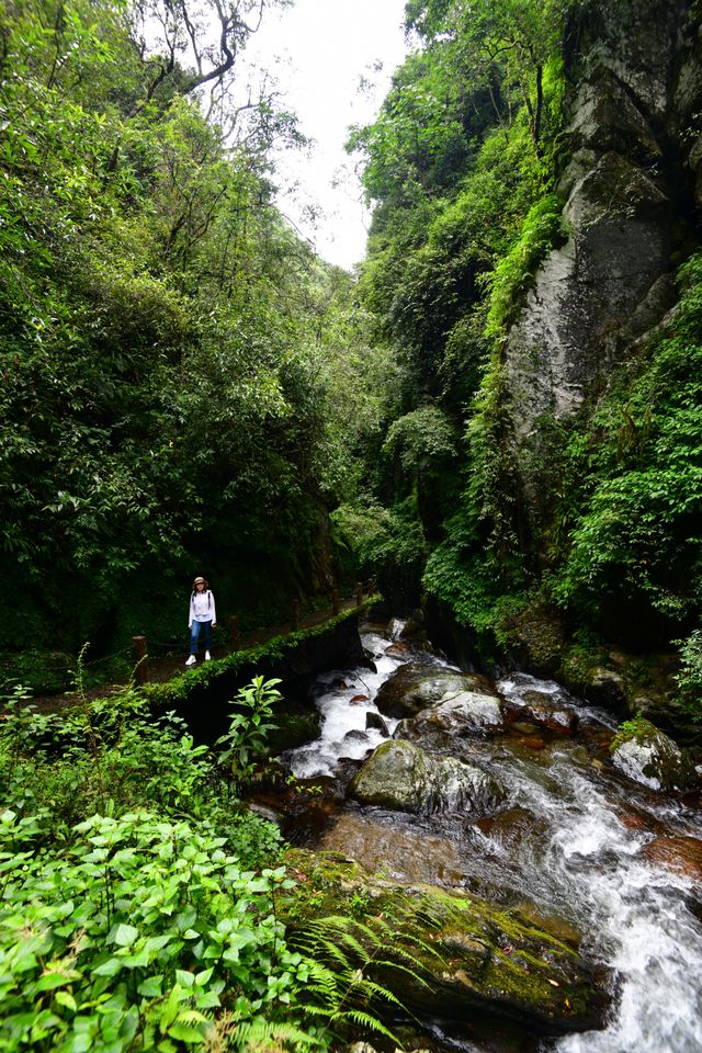 石門峽清泉石上流