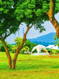 一次打卡4個公園，深圳這裡徒步太快樂了