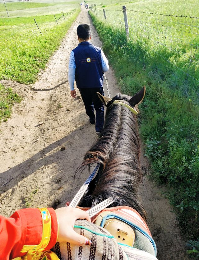 【甘南】我在草原上學會了騎馬|桑科草原