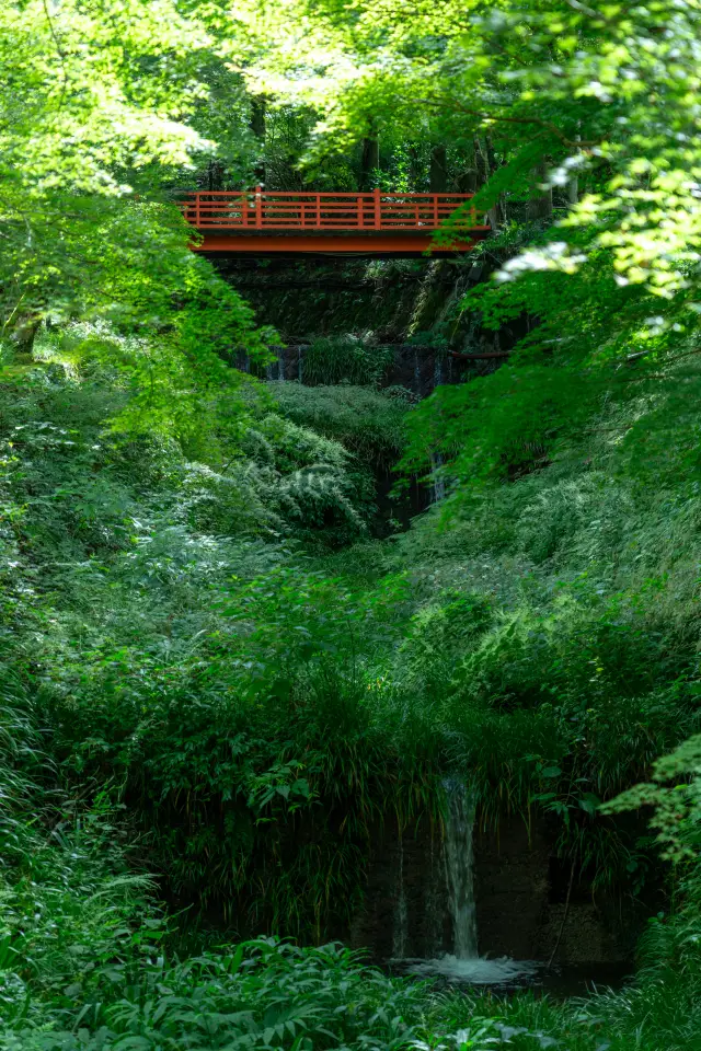 Sanzen-in | An oasis away from the hustle and bustle