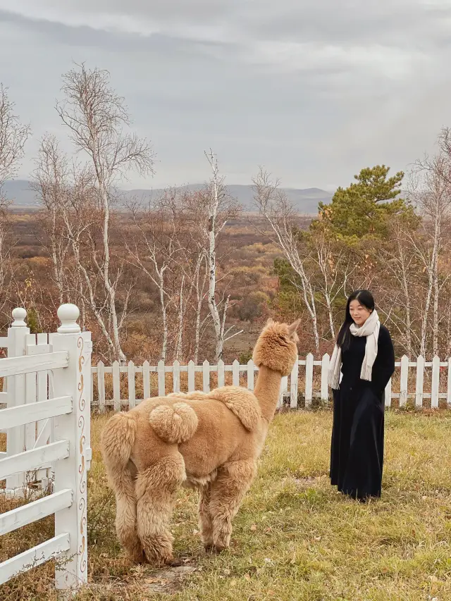 หุบเขา Hulunbuir Heishantou และที่พัก
