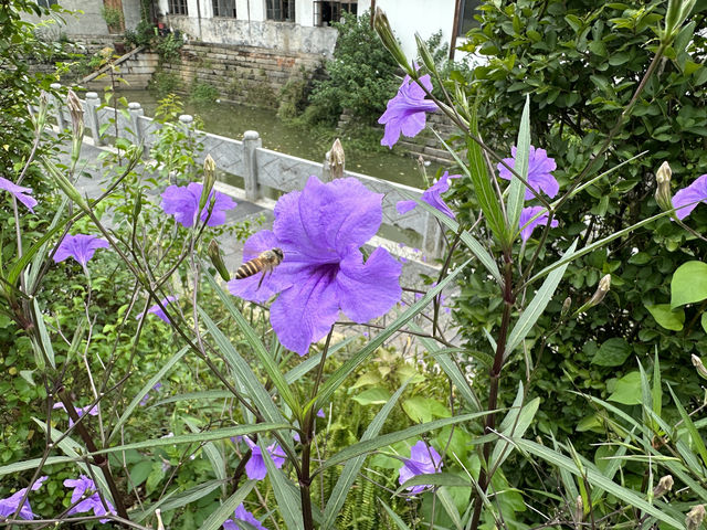長沙靖港古鎮