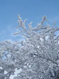 不是四姑娘山去不起，而是龍王山更有性價比