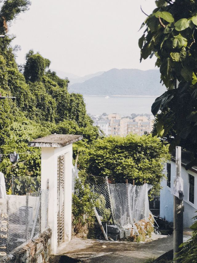 香港 | 40min登頂 在昂平大草原感受風和大海的魅力