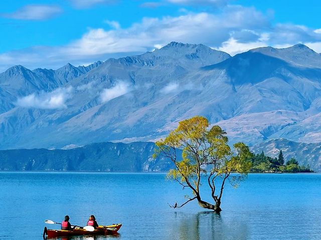 新西蘭 | 瓦納卡太美了！