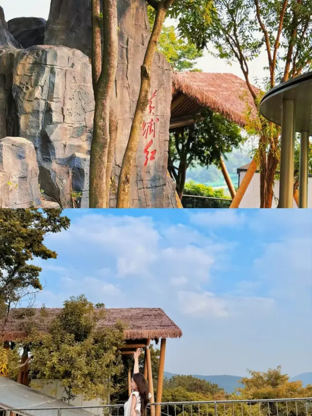 Guangzhou Parent-Child Hiking Holy Land|Tea Garden Camping Hiking Mountain Climbing