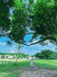無意中闖入宮崎駿動畫般的營地🏕️