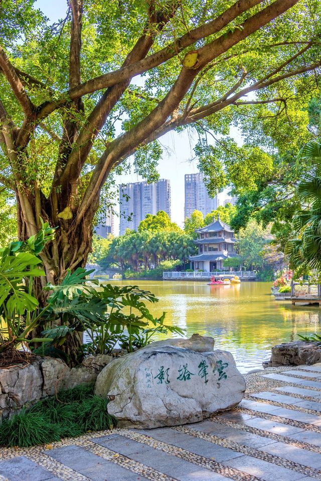 柳州老夜市，太好吃了！