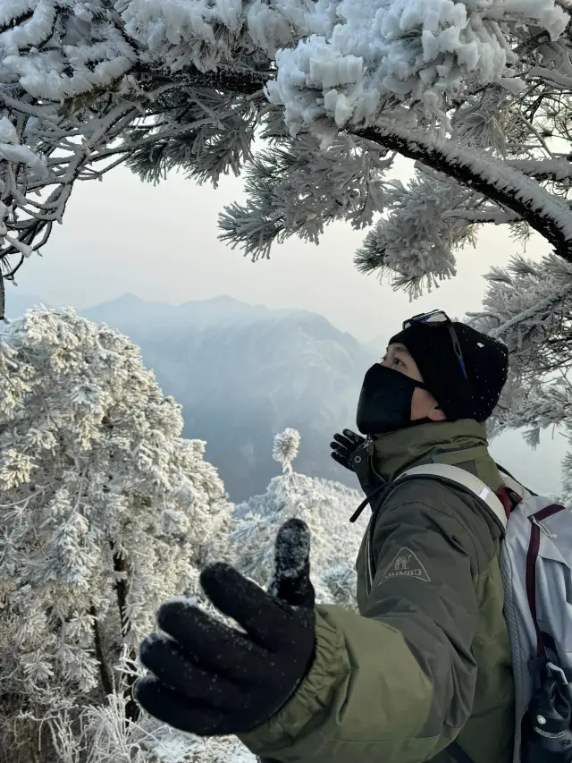 Reach the top in half an hour from Hangzhou to see the rime and sunrise, chase the sea of clouds | Taizi Peak