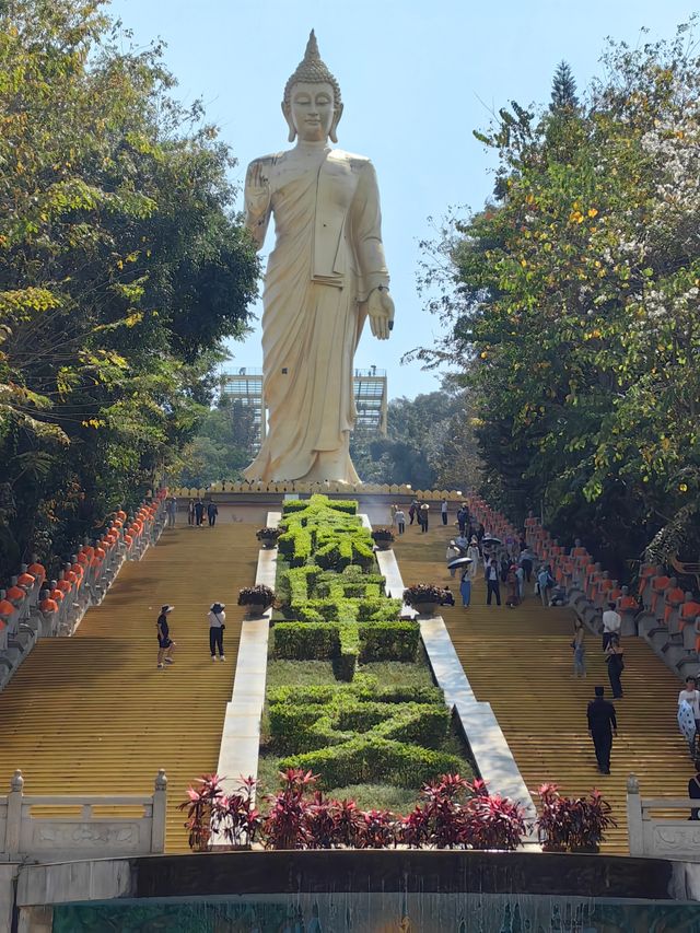 雲南西雙版納勐泐大佛寺丨釋迦牟尼佛像高49米，大金塔金壁輝煌