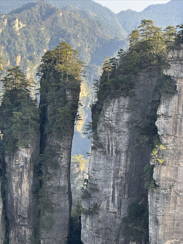 一生總要來一次張家界