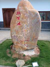 一蓑烟雨任平生｜儋州·東坡書院 造化一方