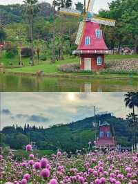 想要在廣州賞花海，首選雲台花園